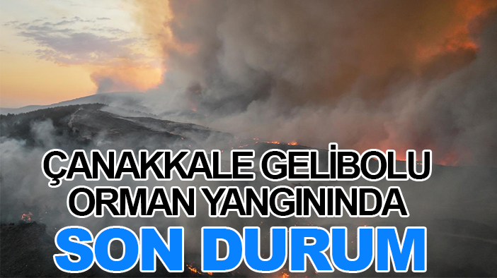 Çanakkale Gelibolu orman yangınında son  durum