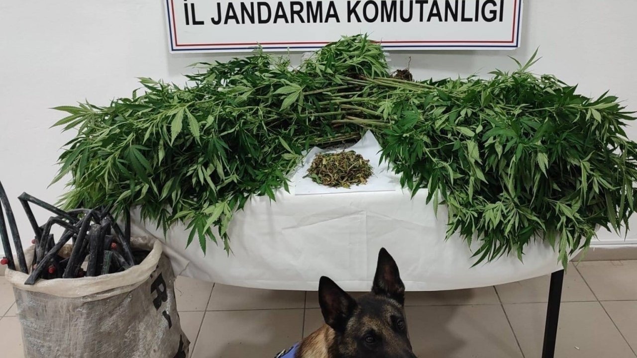 Konya’da uyuşturucu tacirlerine operasyon!