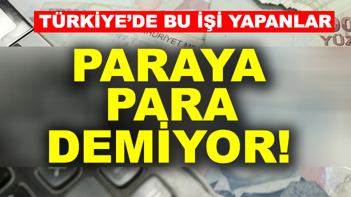 Türkiye’de bu işi yapanlar paraya para demiyor!