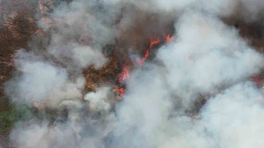 Orman yangınına havadan ve karadan müdahale: Alevler evlere de sıçradı