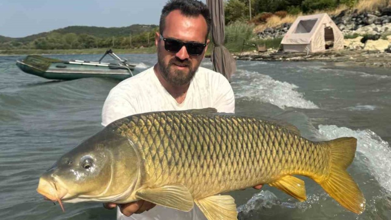 Sapanca Gölü’nde 13 kilo sazan yakaladı: Öpüp suya geri saldı