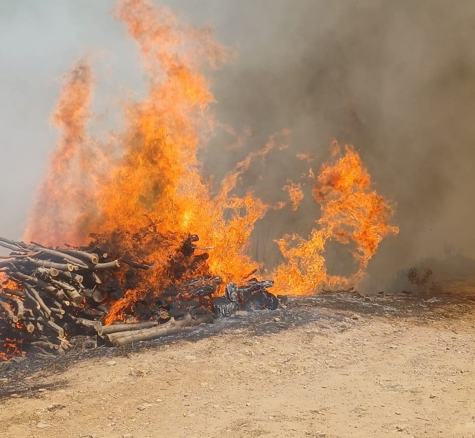 Malatya’nın Doğanyol ilçesinde orman yangını