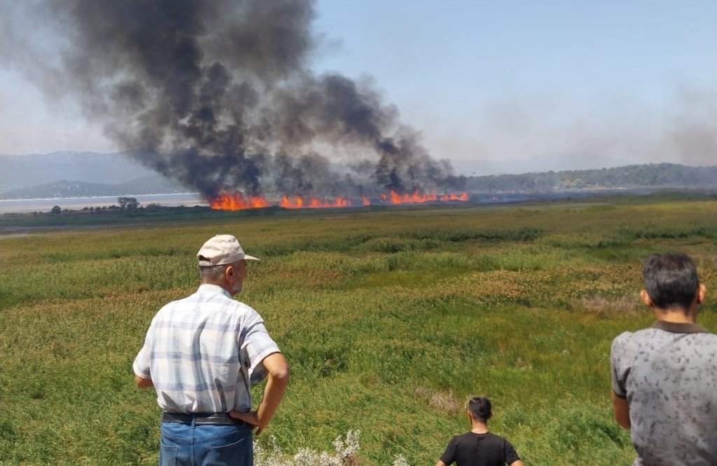 Konya'da sazlık alanda yangın çıktı!