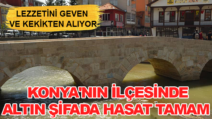 Lezzetini geven ve kekikten alıyor: Konya'nın ilçesinde altın şifada hasat tamam