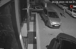 Sokak sokak gezdi, park halindeki araçlara zarar verdi