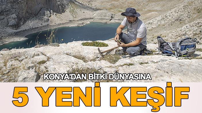 Konya'dan bitki dünyasına 5 yeni keşif