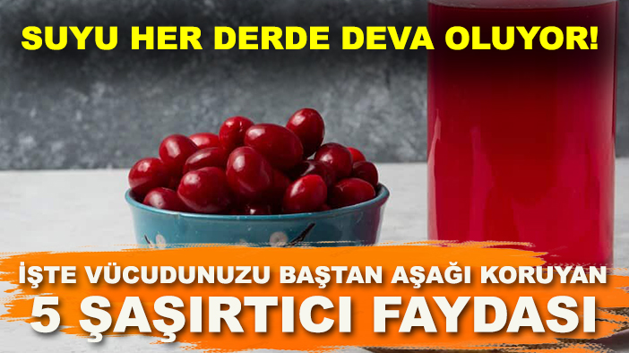 Kızılcık suyu her derde deva oluyor! İşte vücudunuzu baştan aşağı koruyan 5 şaşırtıcı faydası