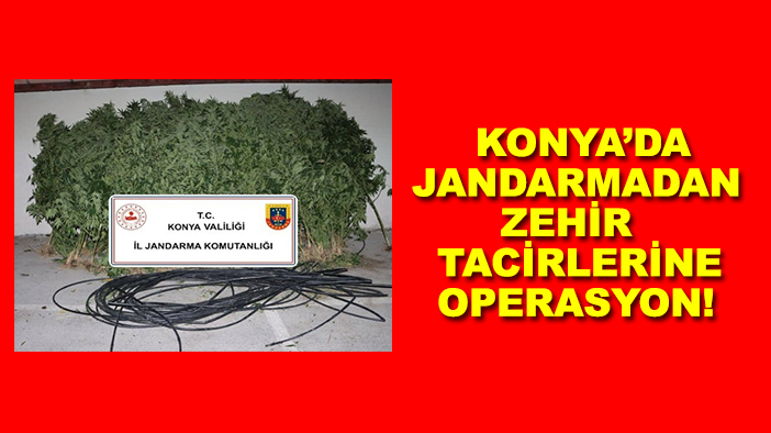 Konya’da jandarmadan zehir tacirlerine operasyon!