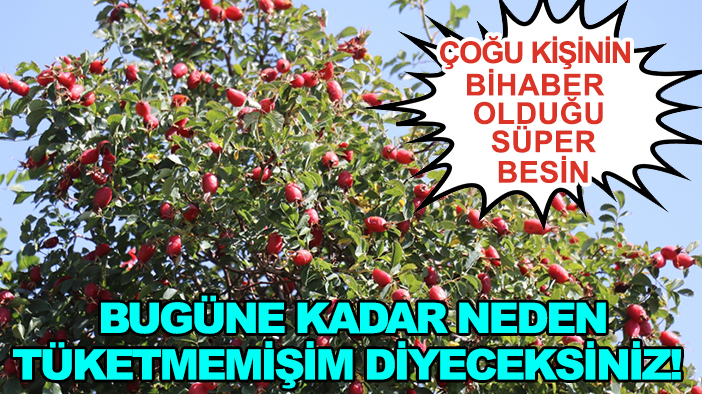 Çoğu kişinin bihaber olduğu süper besin: Bugüne kadar neden tüketmemişim diyeceksiniz!