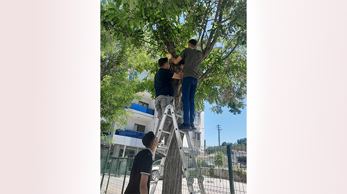 Konya esnafı kedi için seferber oldu
