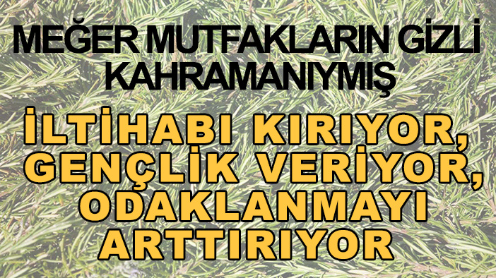 Meğer mutfakların gizli kahramanıymış: İltihabı kırıyor, gençlik veriyor, odaklanmayı arttırıyor