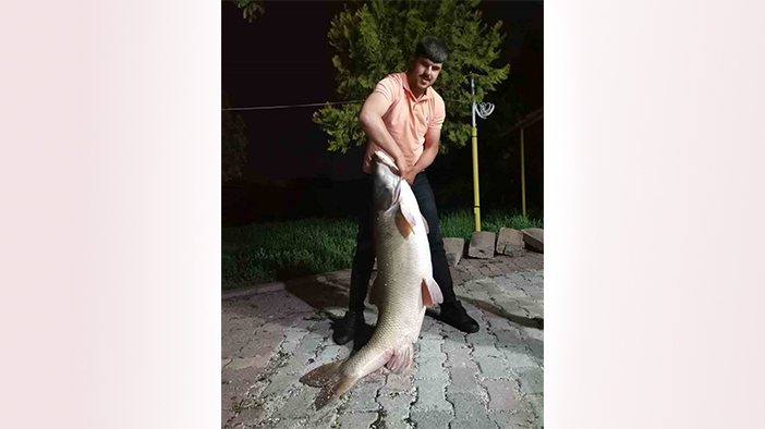 Elazığ’da baba-oğul 75 kiloluk balık yakaladı