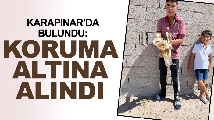 Karapınar’da bulundu: Koruma altına alındı