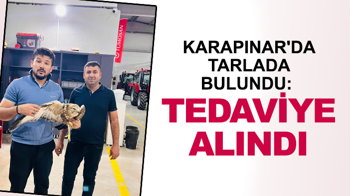 Karapınar'da tarlada bulundu: Tedaviye alındı