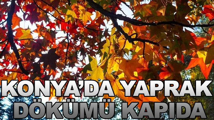 Konya'da yaprak dökümü kapıda