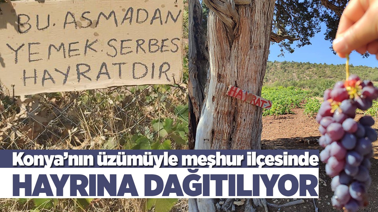 Konya’nın üzümüyle meşhur ilçesinde hayrına dağıtılıyor