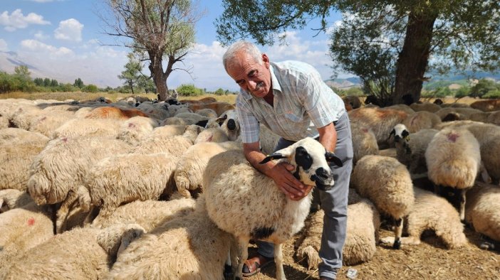 "130 bin TL maaşla çoban bulamıyoruz"