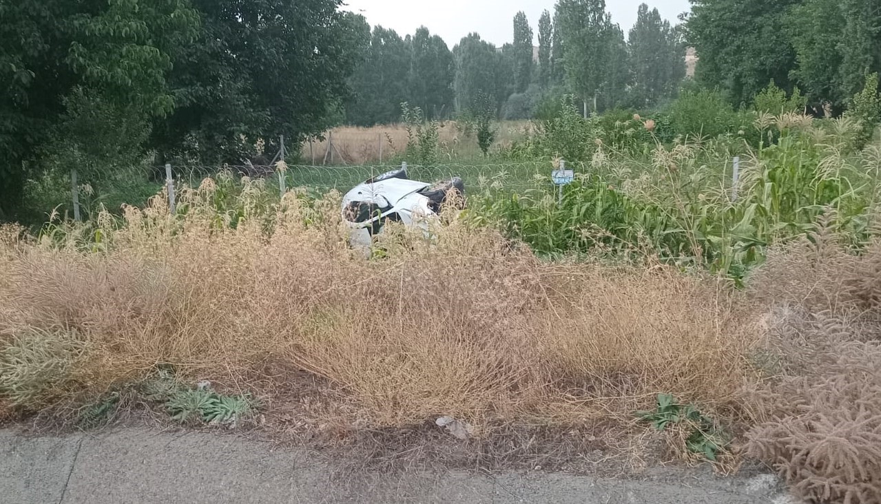 Konya'da otomobil mısır ekili araziye devrildi!
