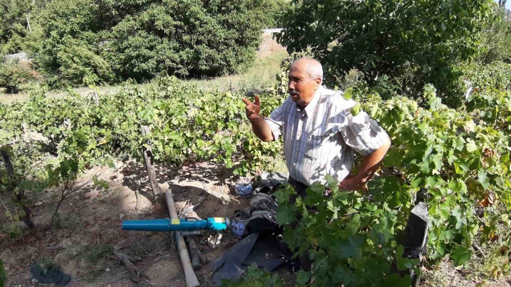 Ayılar köylünün kabusu oldu: Düzenekle kovalıyorlar