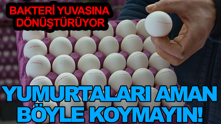 Bakteri yuvasına dönüştürüyor: Yumurtaları aman böyle koymayın!
