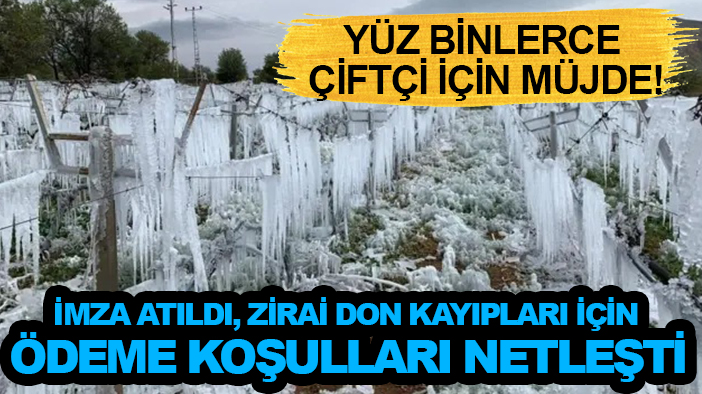 Yüz binlerce çiftçi için müjde! İmza atıldı, zirai don kayıpları için ödeme koşulları netleşti
