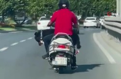 Motosiklet üzerinde köpek ile ilerledi
