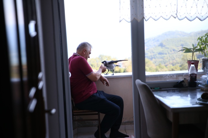 Fındık ikram ettiği kargayla dostluk kurdu