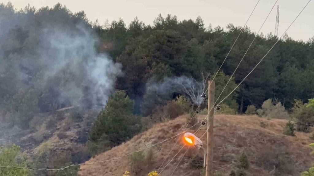 Otluk alanda çıktı, 3 saatte kontrol altına alındı