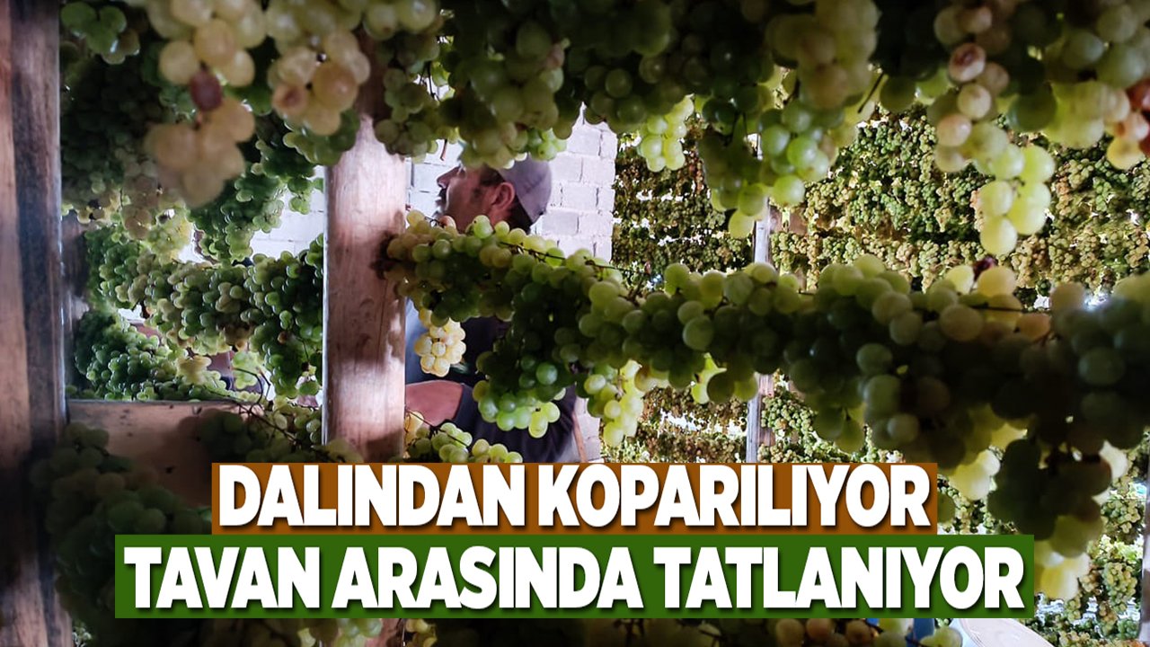 Konya’da yüz yıllardır süren bir gelenek: Üzüme farklı bir lezzet katıyor