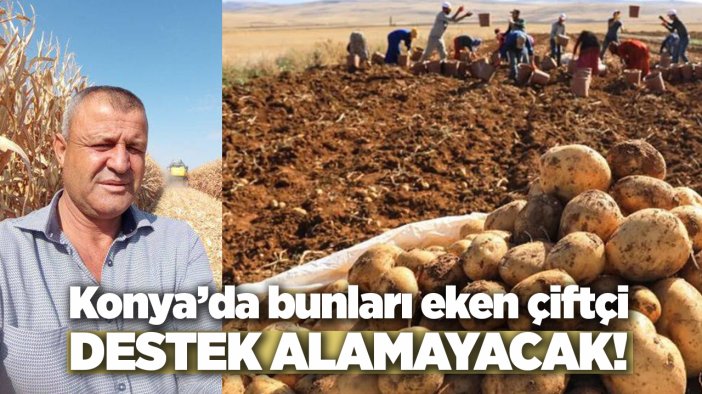 Konya’da bunları eken çiftçi destek alamayacak!