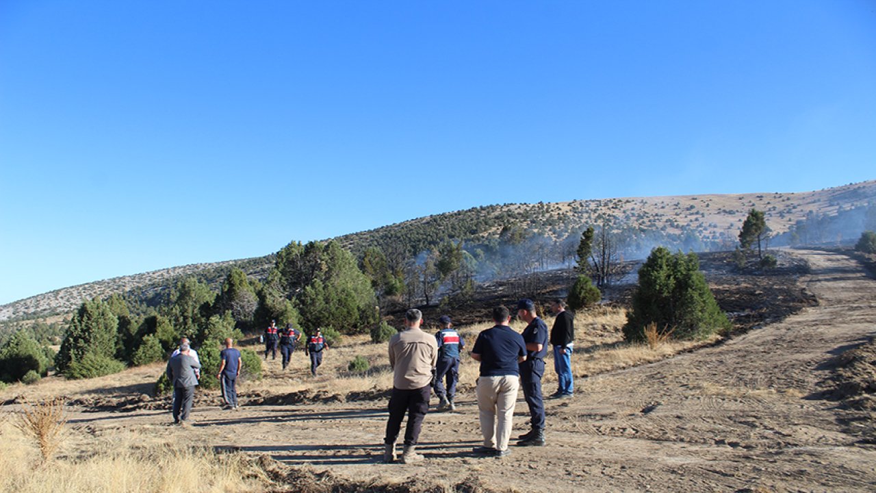 Konya'da  orman yangını