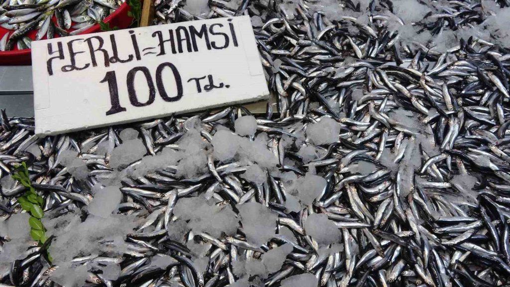 Karadeniz’de hamsi bereketi sürüyor