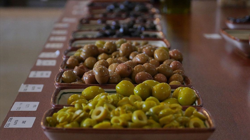 Sağlıklı yaşamın anahtarı meğer bu renkmiş! İşte sağlığa en faydalı zeytin...