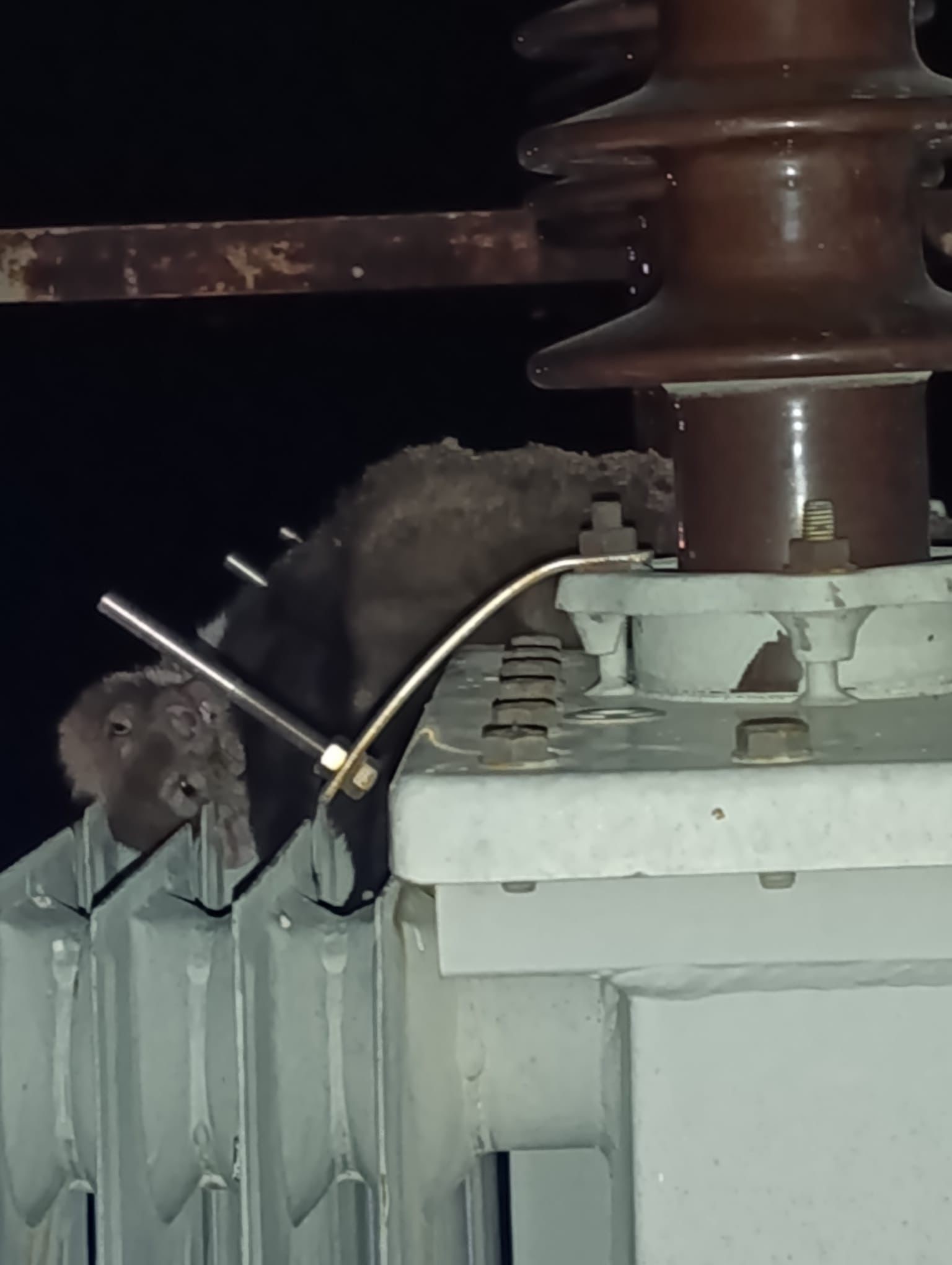 Konya'da mahalledeki elektrik kesintisinin sebebi sansar çıktı