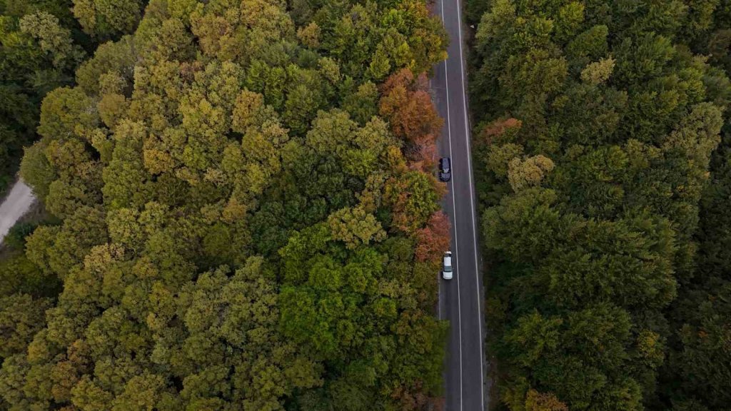 Muhteşem sonbahar güzelliği fotoğraflara yansıdı