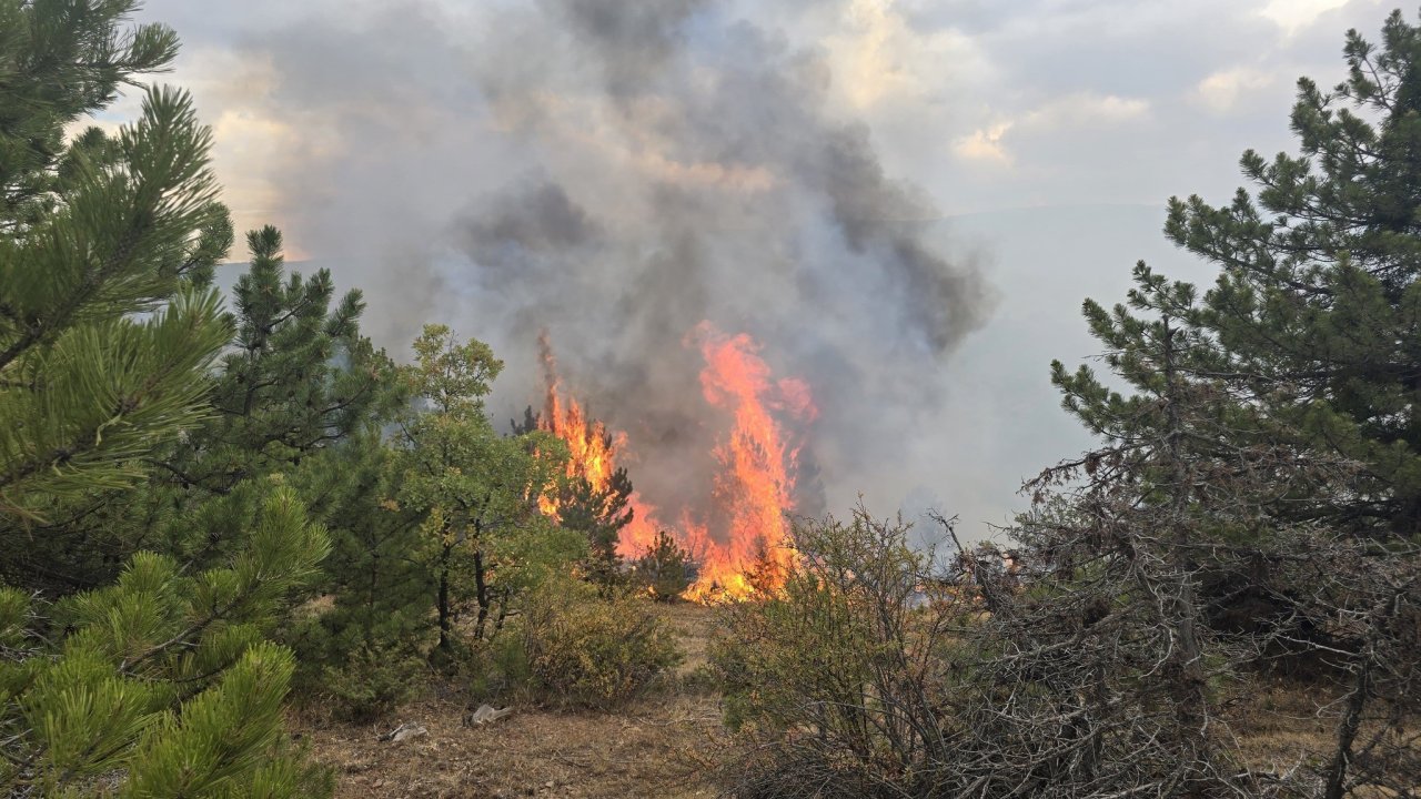 Konya'da orman yangını!