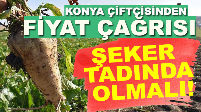 Konya çiftçisinden fiyat çağrısı: Şeker pancarı şeker tadında olmalı!