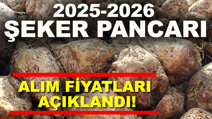 Çiftçilere müjde: 2025-2026 şeker pancarı alım fiyatları açıklandı!