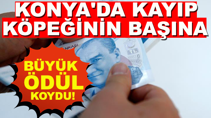 Konya'da kayıp köpeğinin başına büyük ödül koydu!