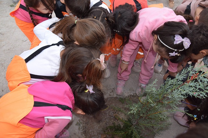 Karapınar’da öğrenciler dikti, geleceğe nefes olacak