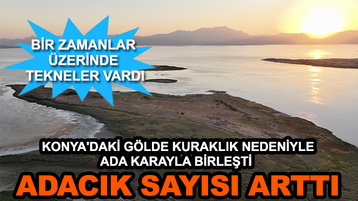 Konya'daki gölde kuraklık nedeniyle ada karayla birleşti ve adacık sayısı arttı