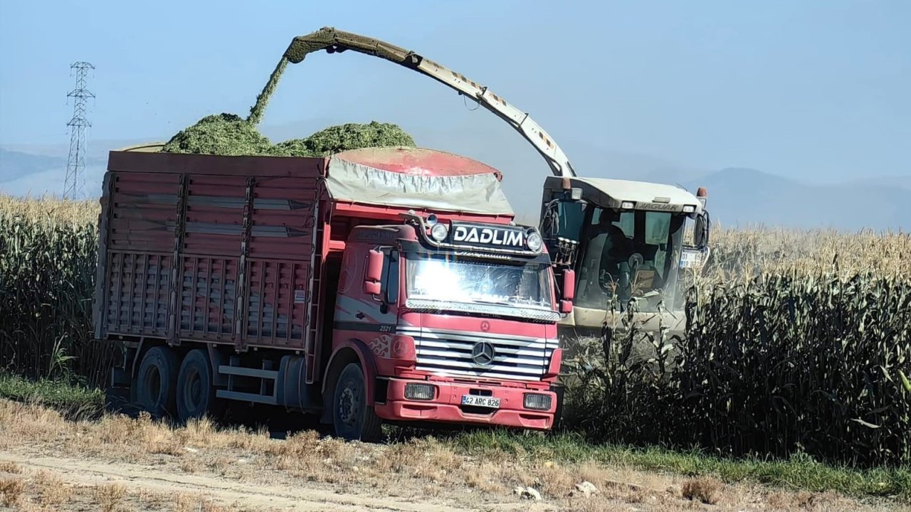 Konya'da mısır hasadı başladı