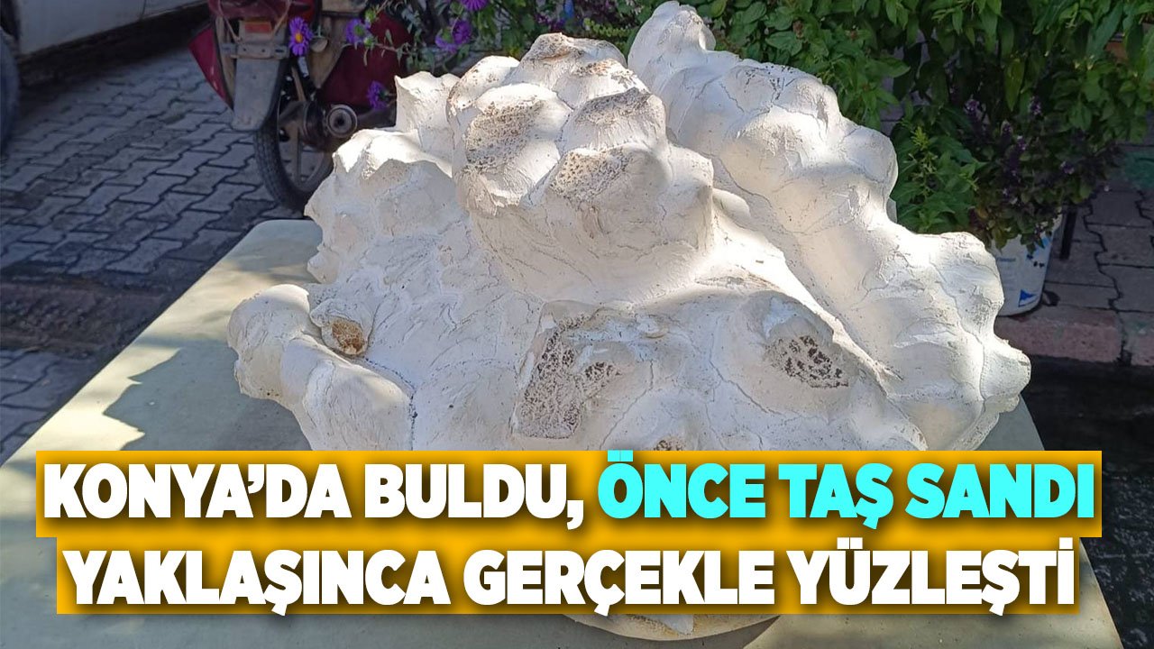 Konya’da buldu, önce taş sandı, yaklaşınca gerçekle yüzleşti
