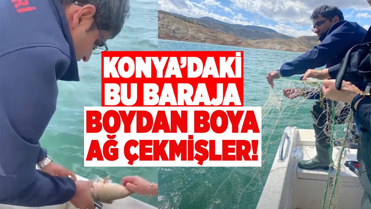 Suların çekilmesini fırsat bilen kaçak avcılar, denetimden kaçamadı