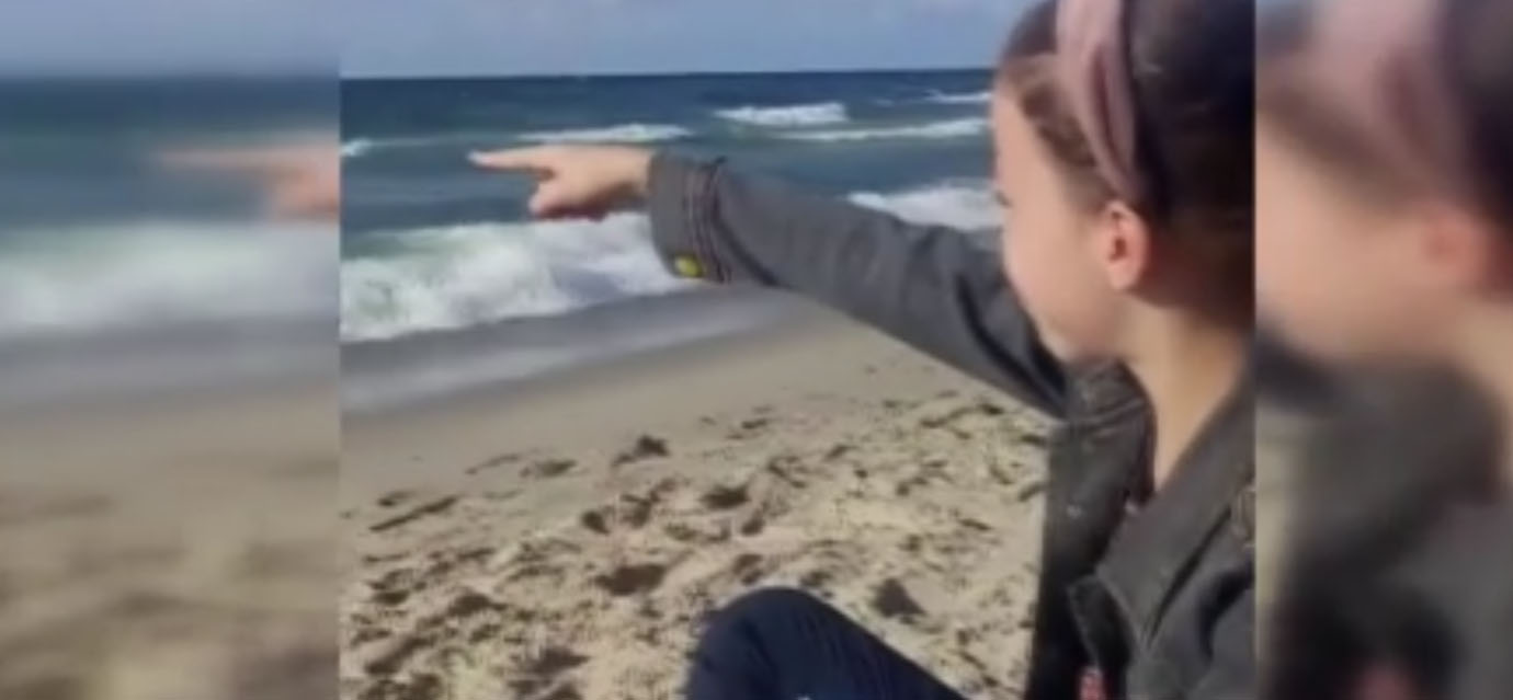 O filo, o gemi bir gün mutlaka gelecek Shaded!