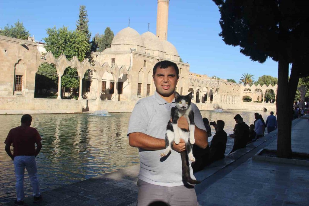 Balıklıgöl’e düşen kedi kalp masajıyla hayata döndü