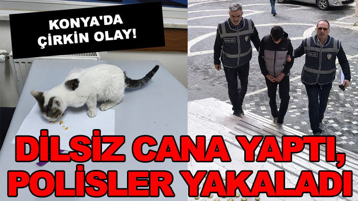 Konya'da çirkin olay: Dilsiz cana yaptı, polisler yakaladı