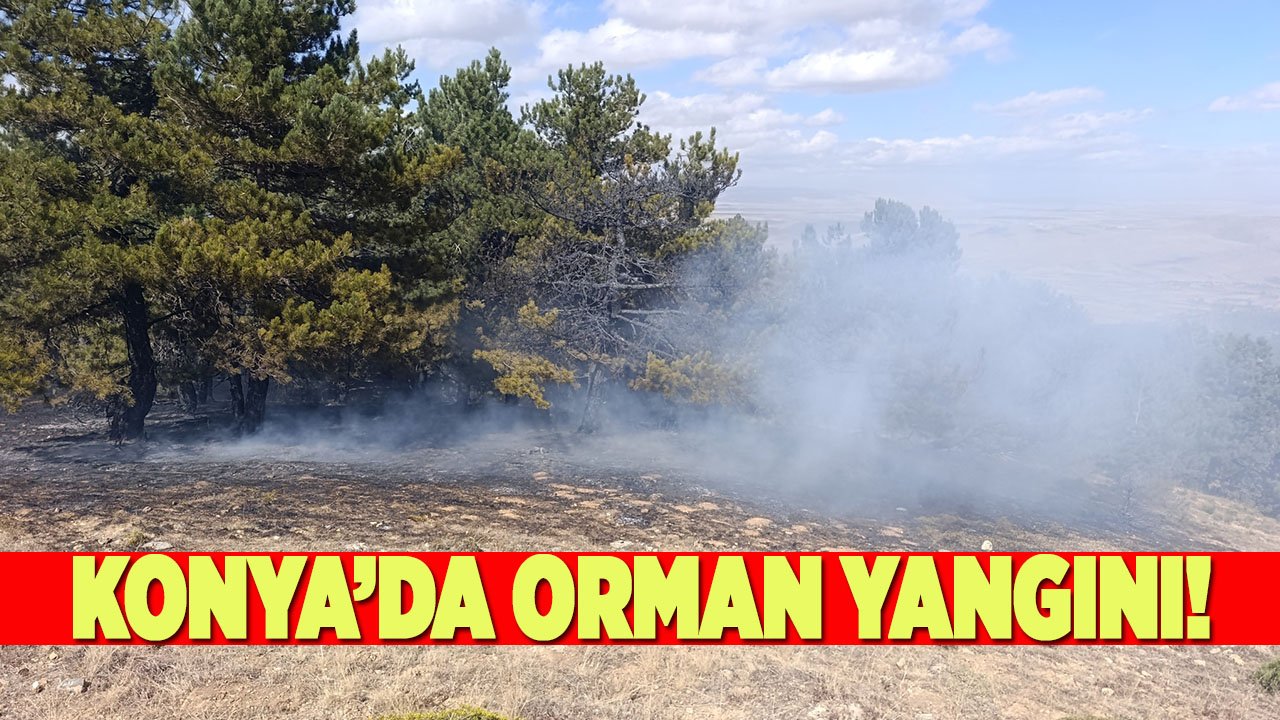 Konya’da orman yangını! Dumanlar Kestel’den yükseliyor