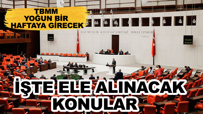 TBMM yoğun bir haftaya girecek: İşte ele alınacak konular