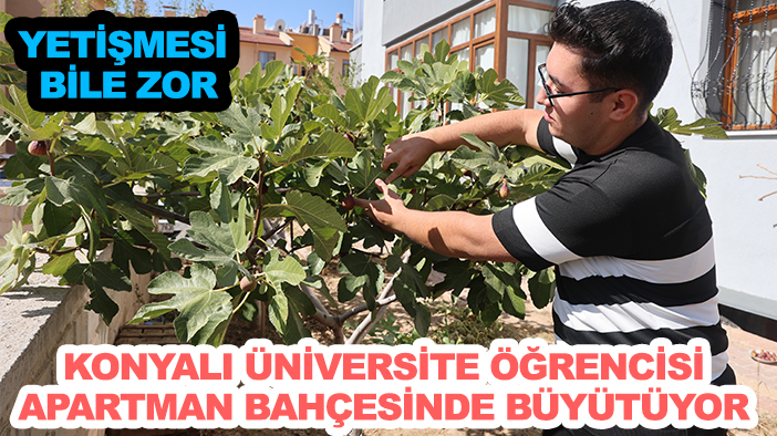 Yetişmesi bile zor: Konyalı üniversite öğrencisi apartman bahçesinde büyütüyor